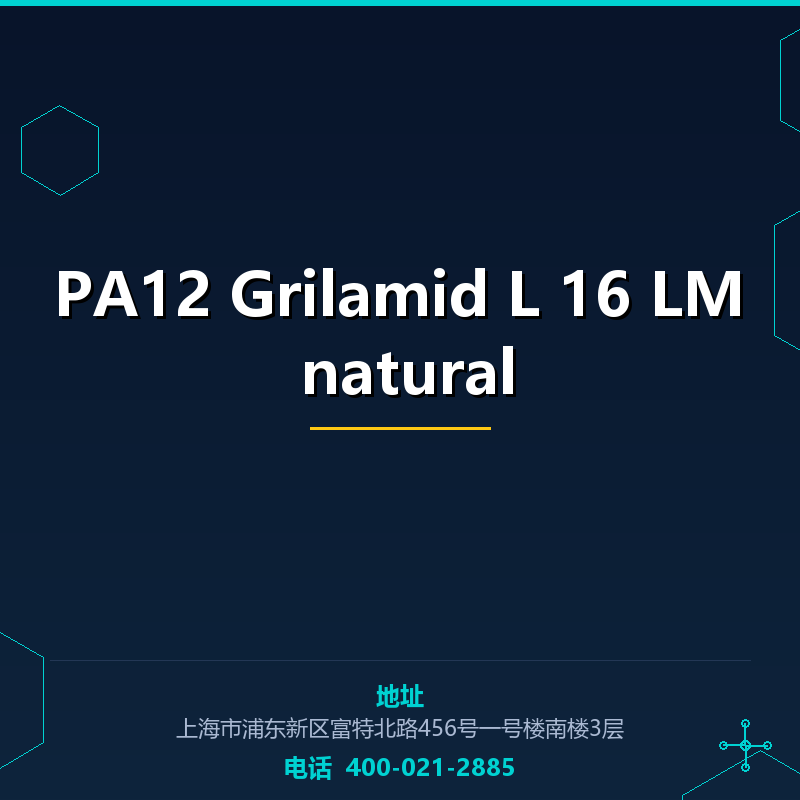 PA12 Grilamid L 16 LM natural None