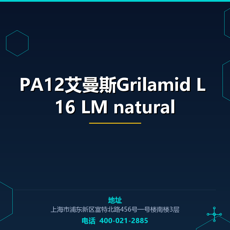 PA12艾曼斯Grilamid L 16 LM natural None