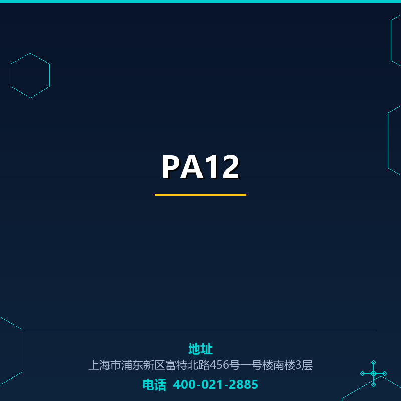 PA12（CAS号）