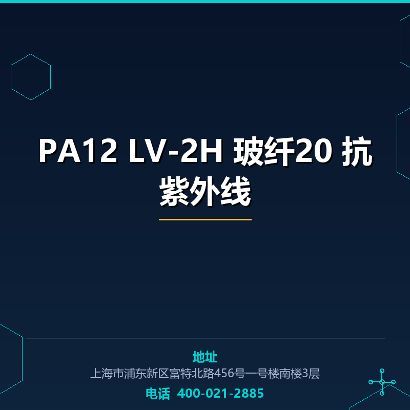 PA12 LV-2H 玻纤20 抗紫外线 None