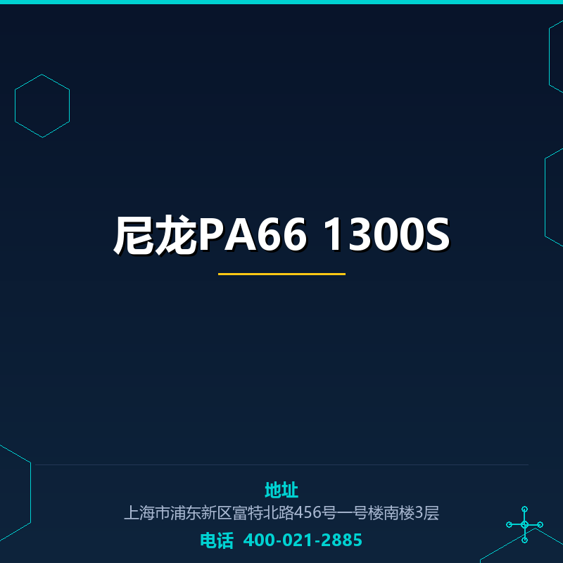 尼龙PA66 1300S None
