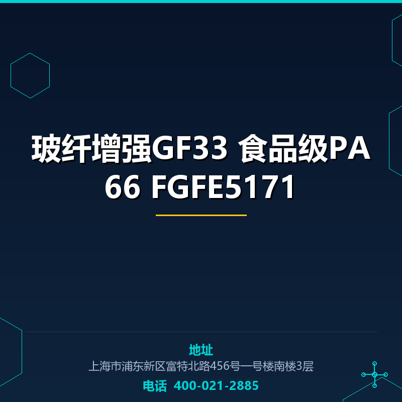 玻纤增强GF33 食品级PA66 FGFE5171 None