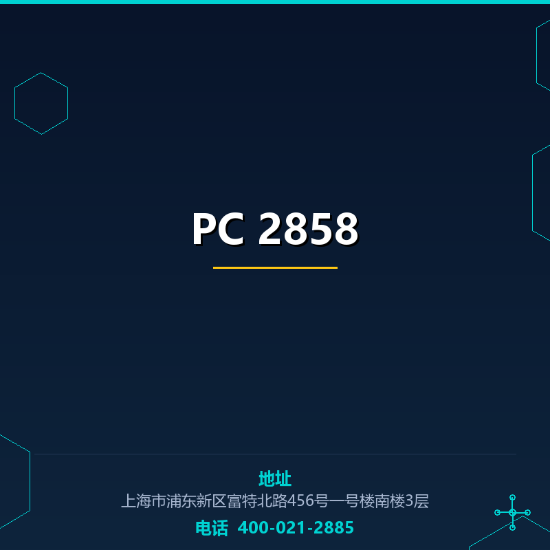 PC 2858 None