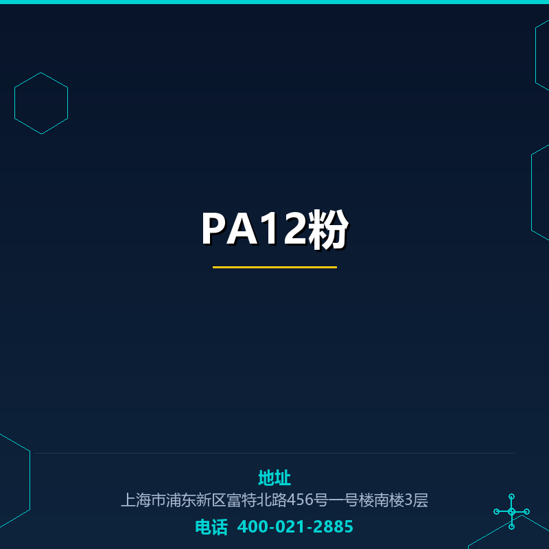 PA12粉（EX9200） None