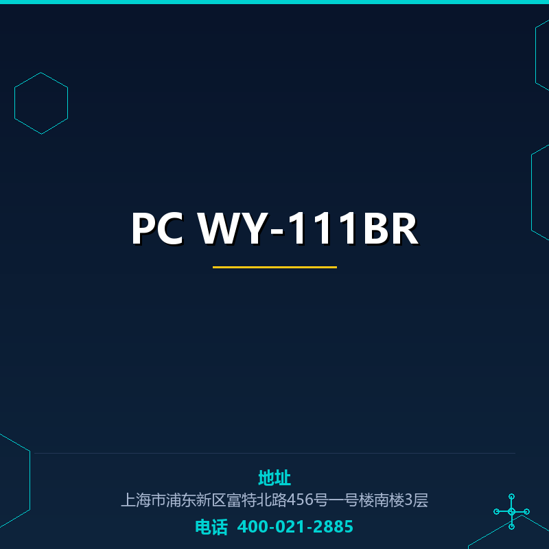 PC WY-111BR None