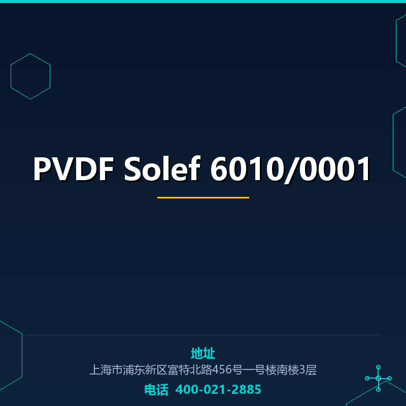 PVDF Solef 6010/0001 None
