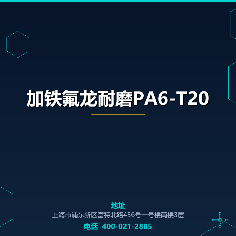 加铁氟龙耐磨PA6-T20 None