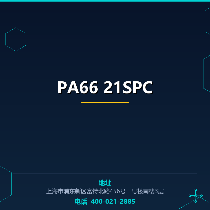 PA66 21SPC None
