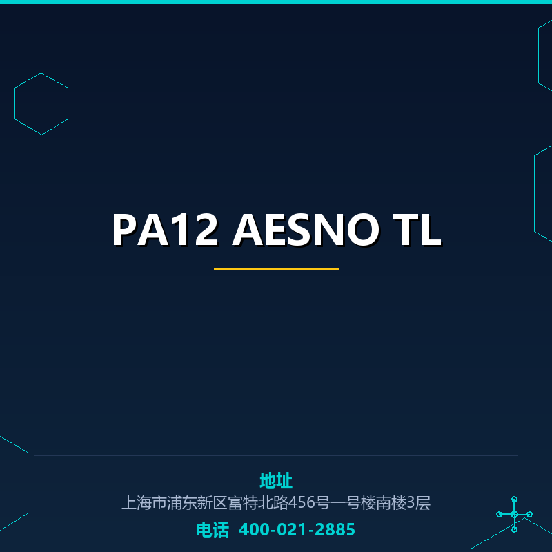 PA12 AESNO TL None