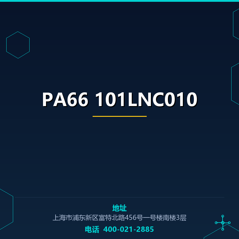 PA66 101LNC010 None