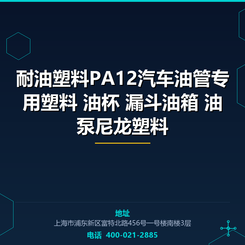 耐油塑料PA12汽车油管专用塑料 油杯 漏斗油箱 油泵尼龙塑料原料 None