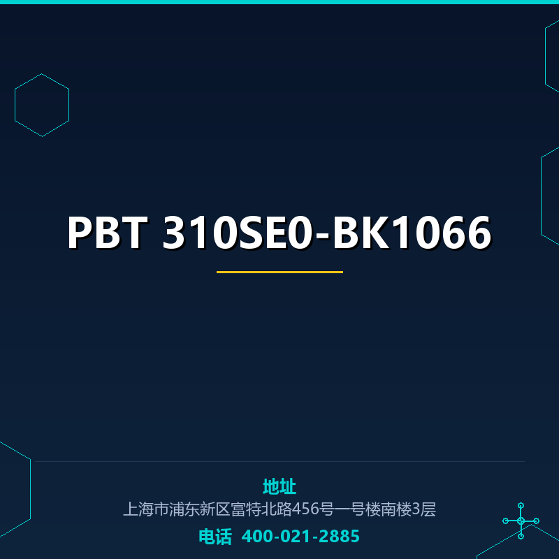 PBT 310SE0-BK1066 None