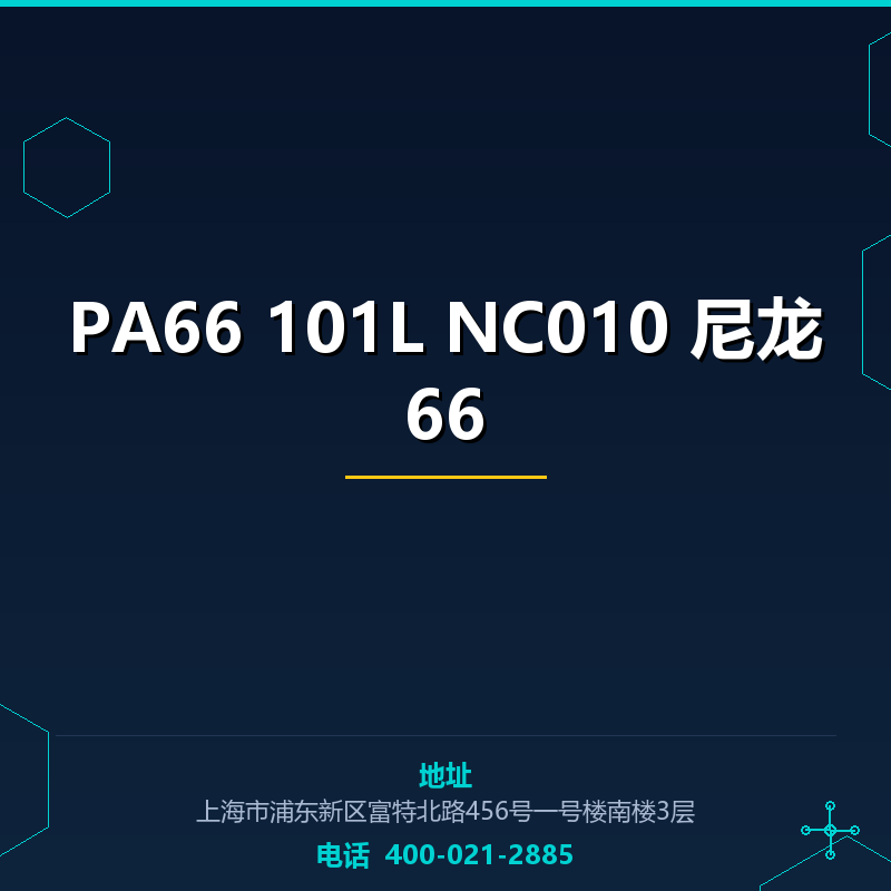 PA66 101L NC010 尼龙66 None