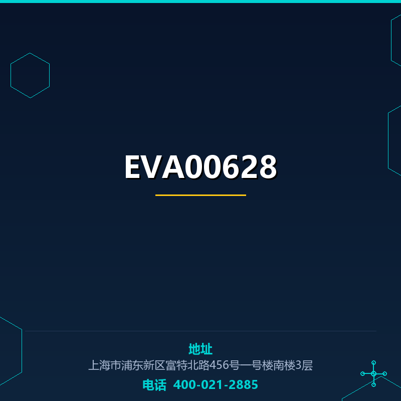 EVA00628 None