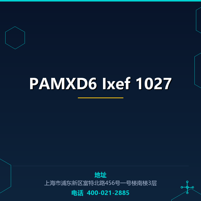 PAMXD6 Ixef 1027 None