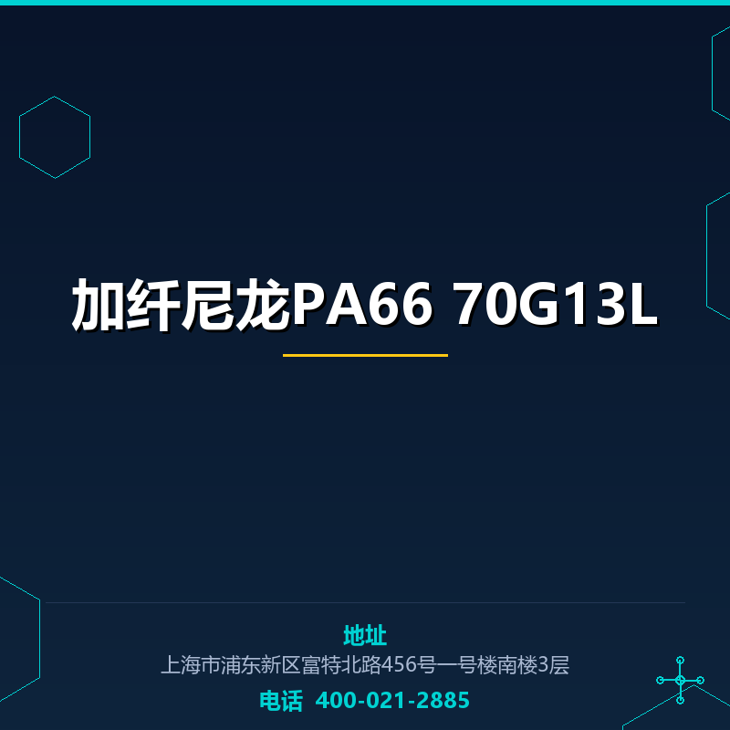 加纤尼龙PA66 70G13L