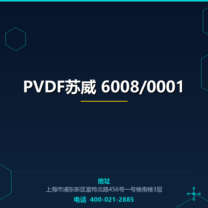 PVDF苏威 6008/0001 None