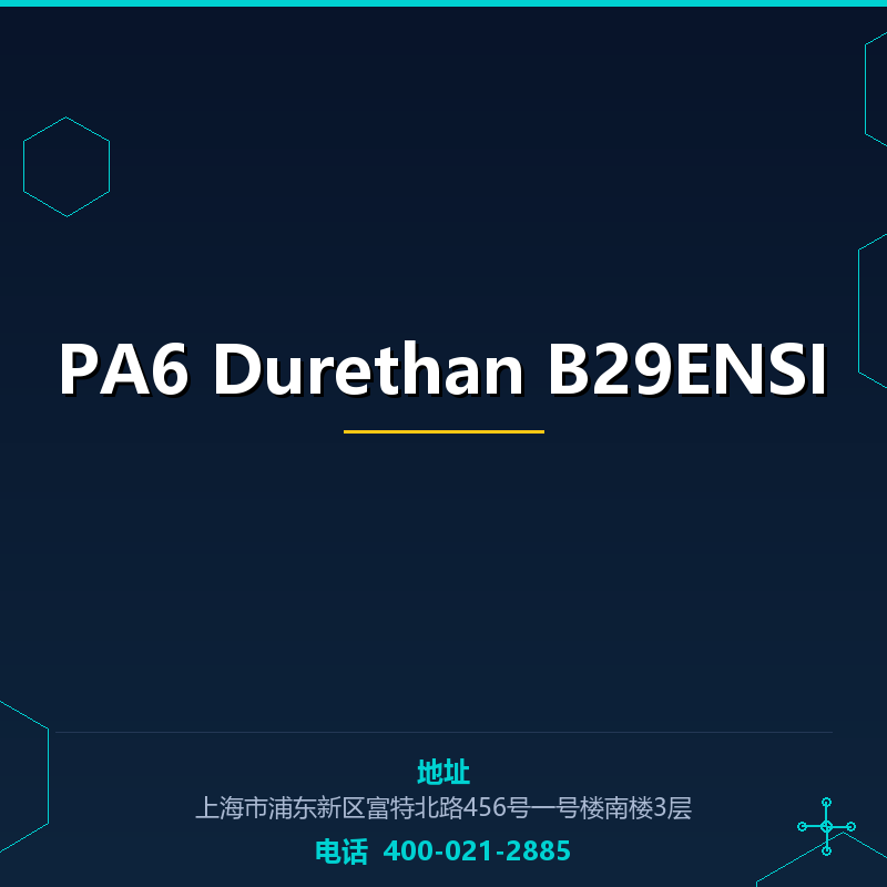 PA6 Durethan B29ENSI None