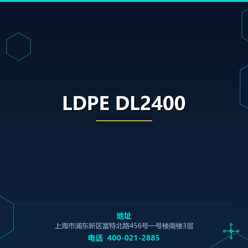 LDPE DL2400 None