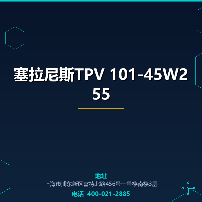 塞拉尼斯TPV 101-45W255 None