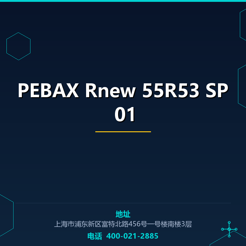 PEBAX Rnew 55R53 SP 01 None