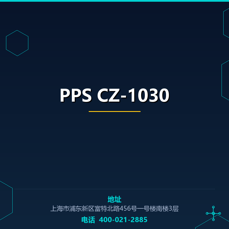 PPS CZ-1030 None