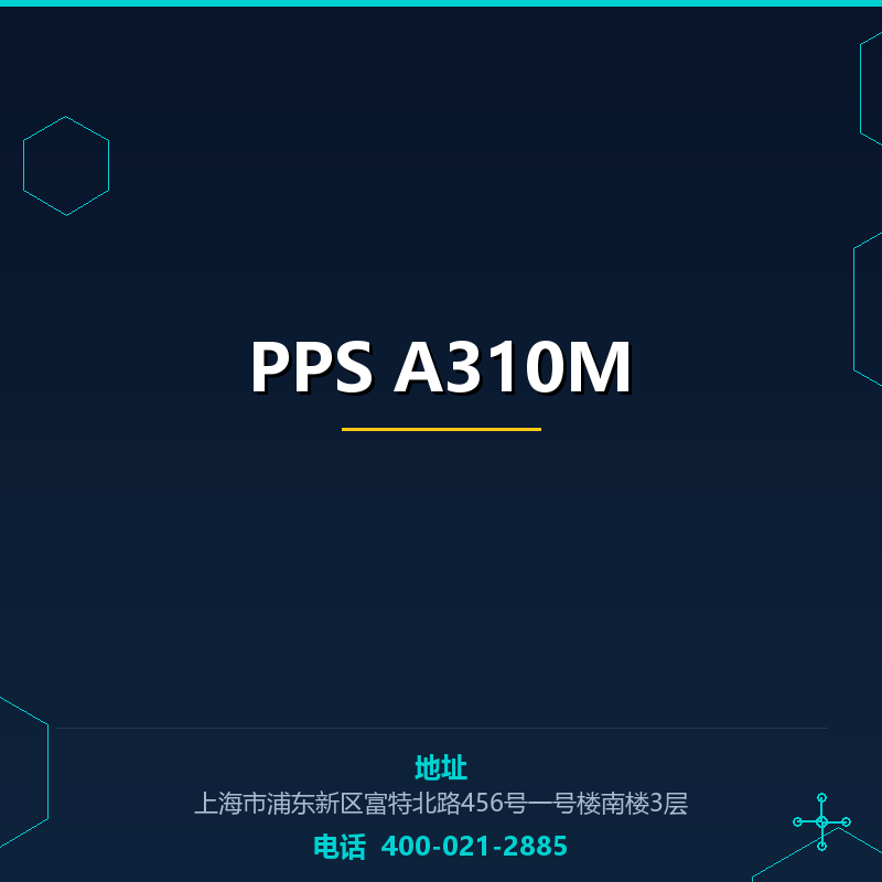 PPS A310M None
