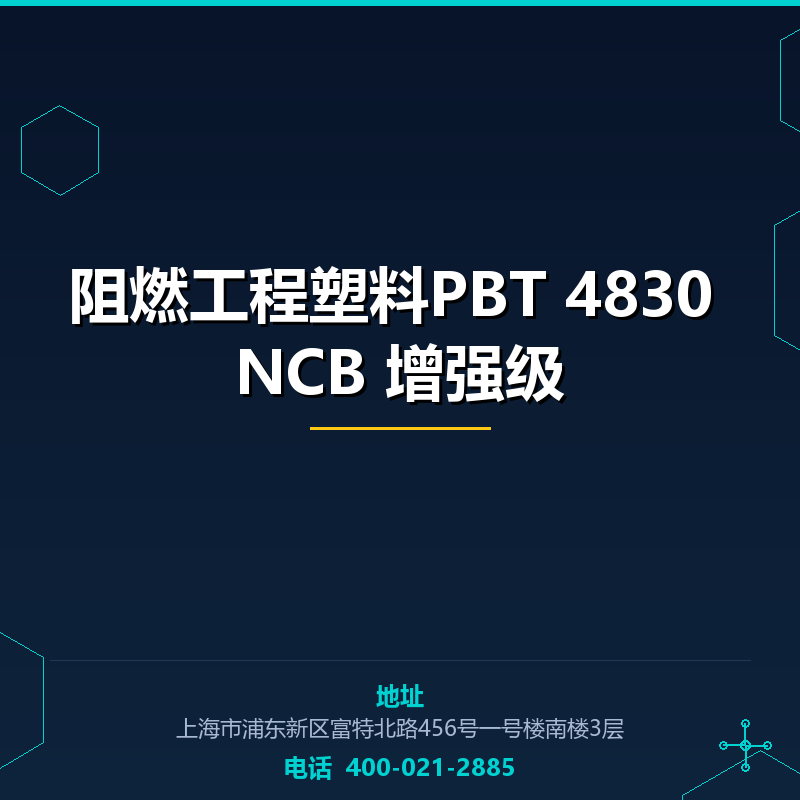阻燃工程塑料PBT 4830 NCB 增强级 None