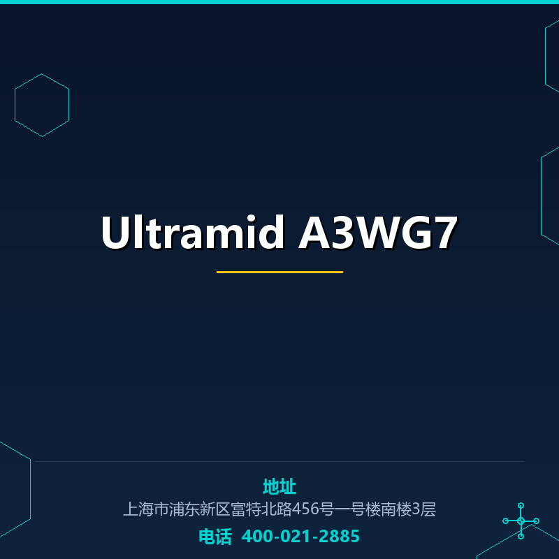 Ultramid A3WG7 None