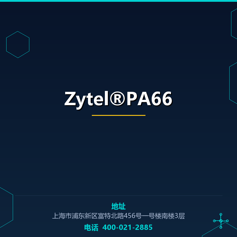 Zytel®PA66