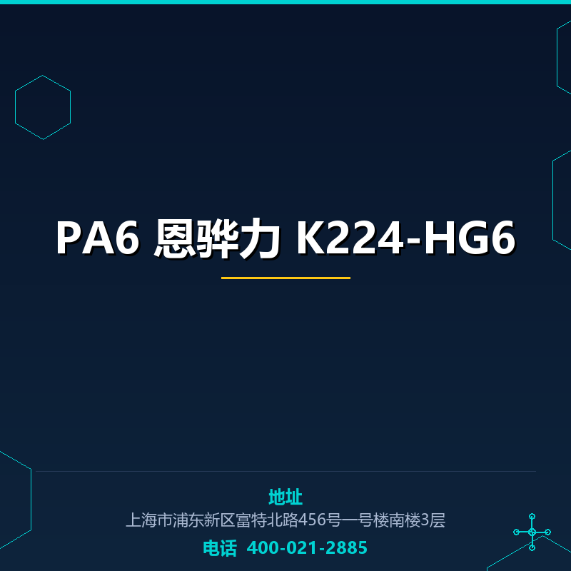 PA6 恩骅力 K224-HG6