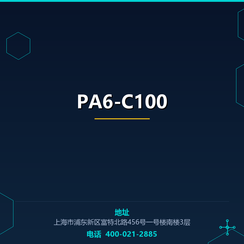 PA6-C100