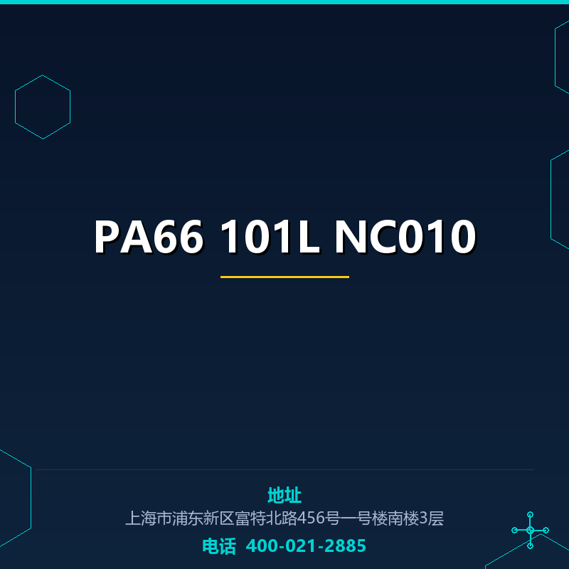 PA66 101L NC010 None