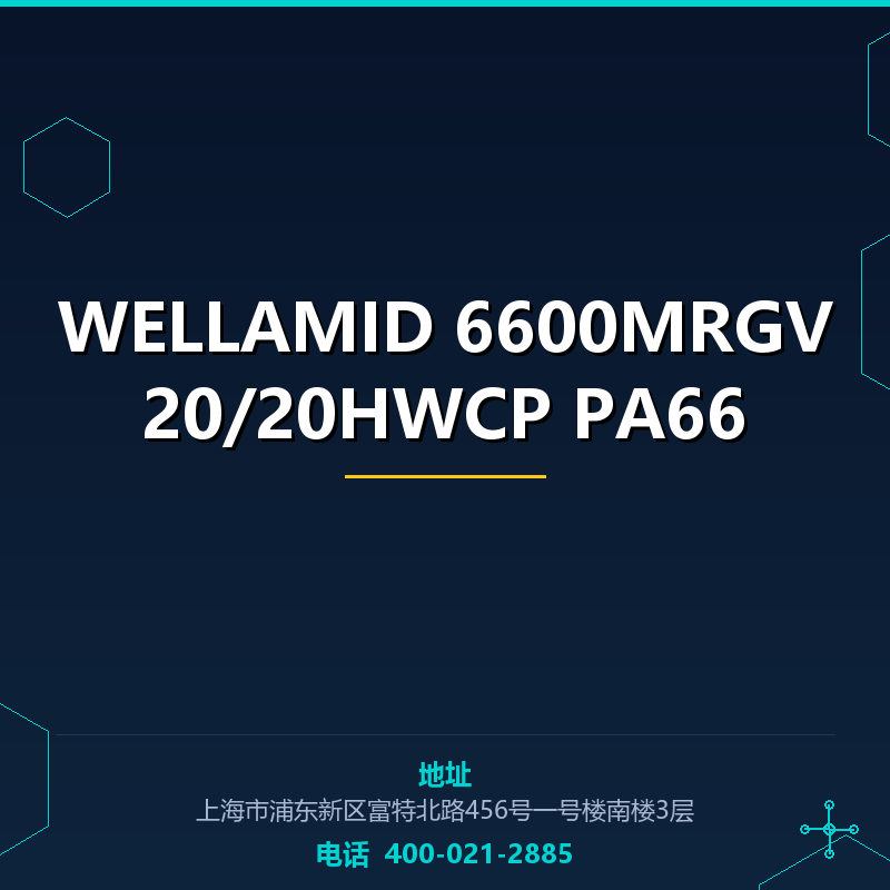WELLAMID 6600MRGV20/20HWCP PA66