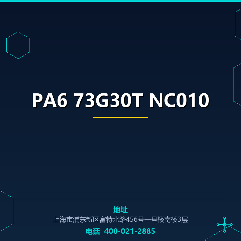 PA6 73G30T NC010 None