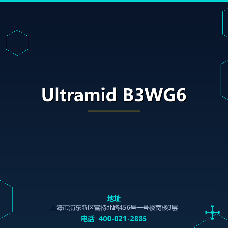 Ultramid B3WG6 None