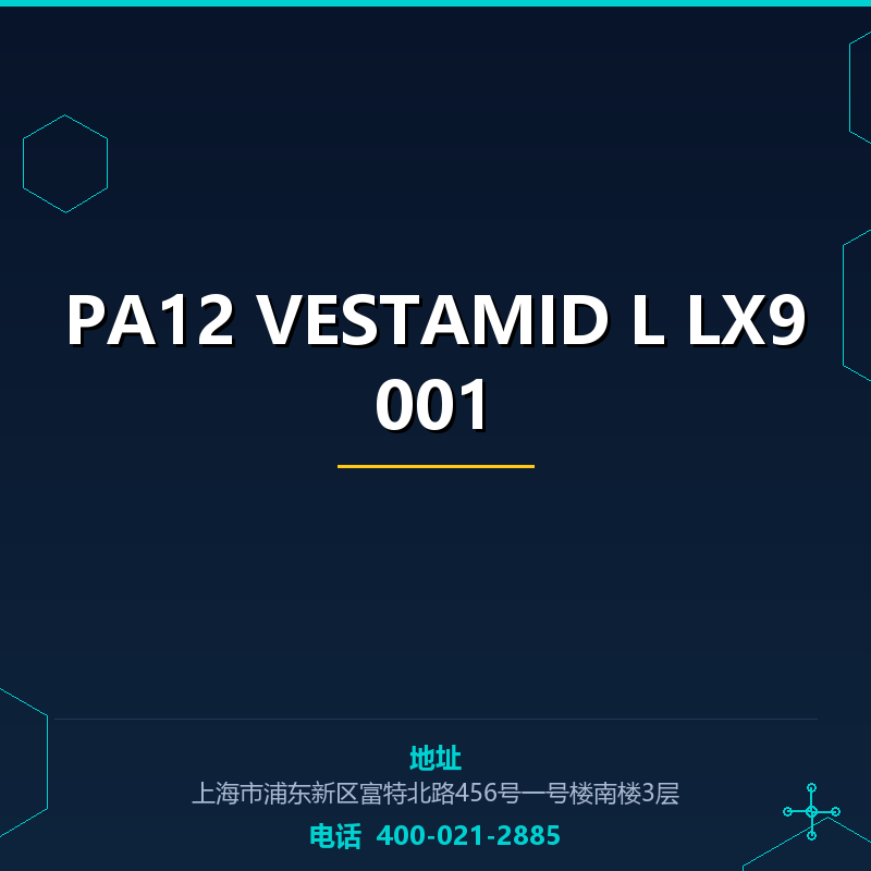 PA12 VESTAMID L LX9001