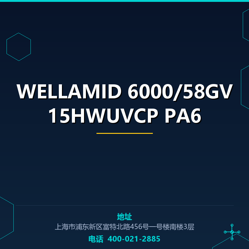 WELLAMID 6000/58GV15HWUVCP PA6