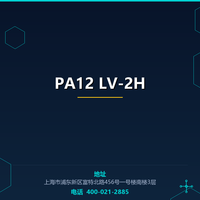 PA12 LV-2H