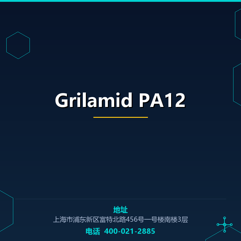 Grilamid PA12