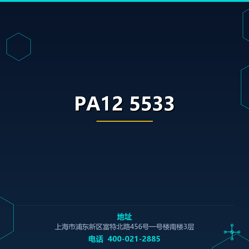 PA12 5533