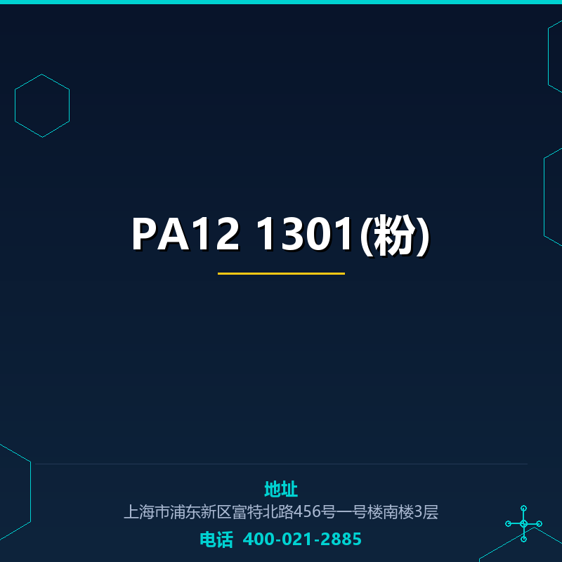 PA12 1301(粉)