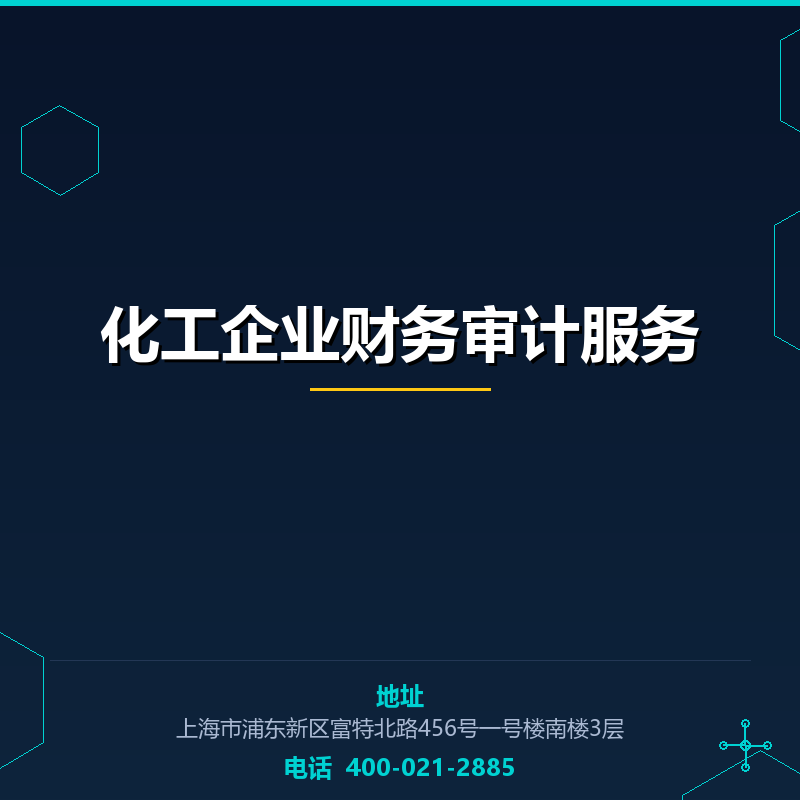 化工企业财务审计服务