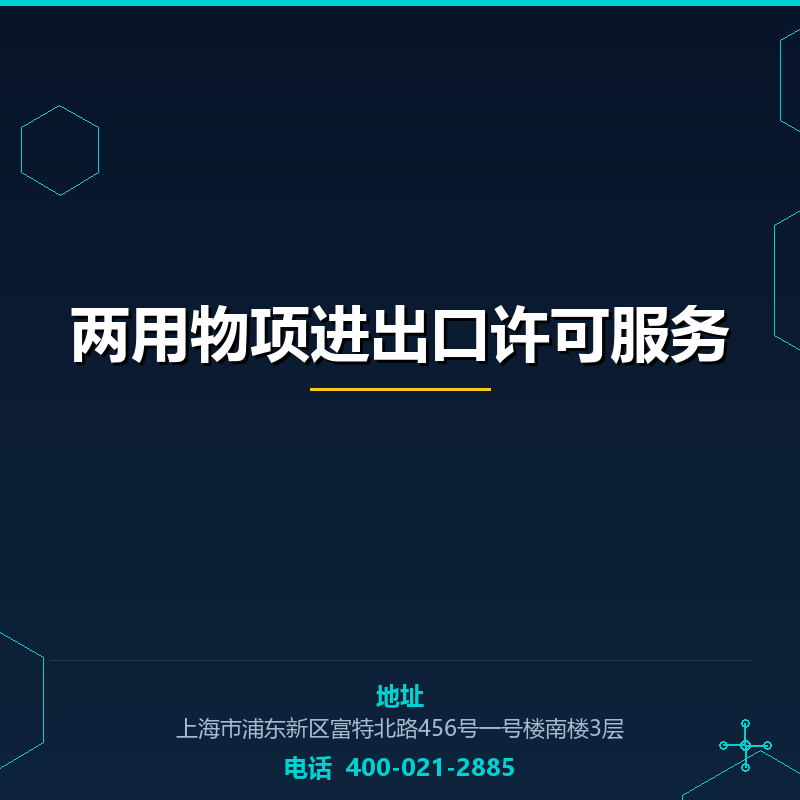 两用物项进出口许可服务